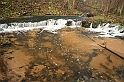 Rostoczek 11.2008 104